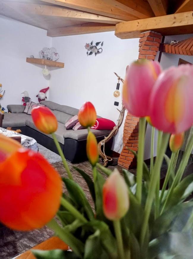Chalet Du Soleil Odecla Eksteriør bilde